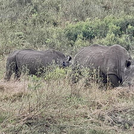 Готель Hluhluwe Gate Safari Camp Екстер'єр фото