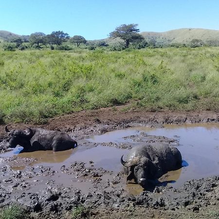 Готель Hluhluwe Gate Safari Camp Екстер'єр фото