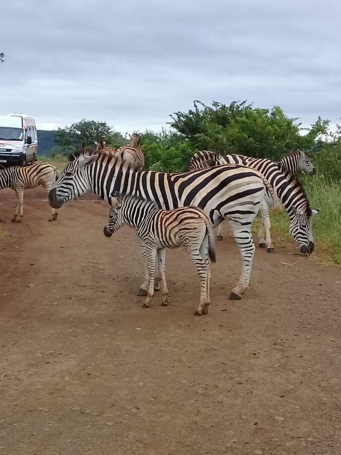 Готель Hluhluwe Gate Safari Camp Екстер'єр фото
